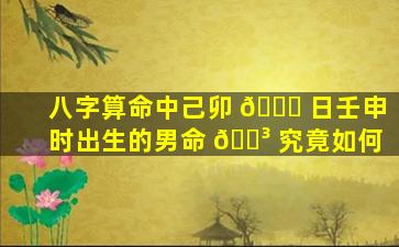 八字算命中己卯 🐟 日壬申时出生的男命 🐳 究竟如何